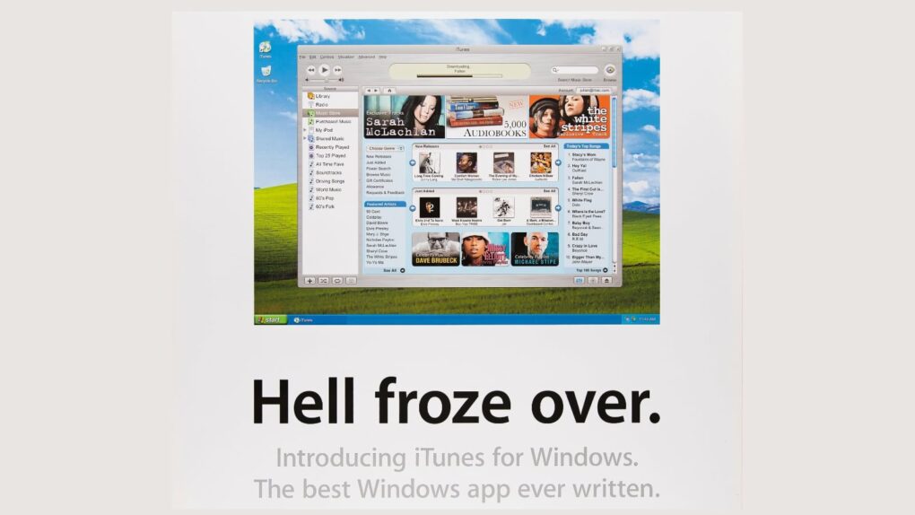 Screenshot of iTunes for Windows app.