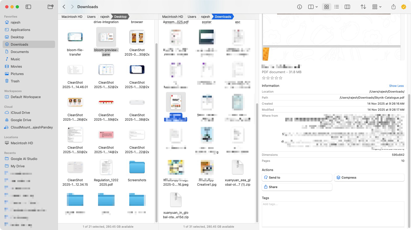Preview pane in Bloom