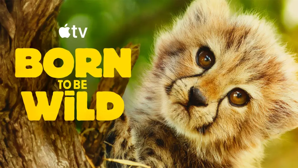 Born to Be Wild documentary series