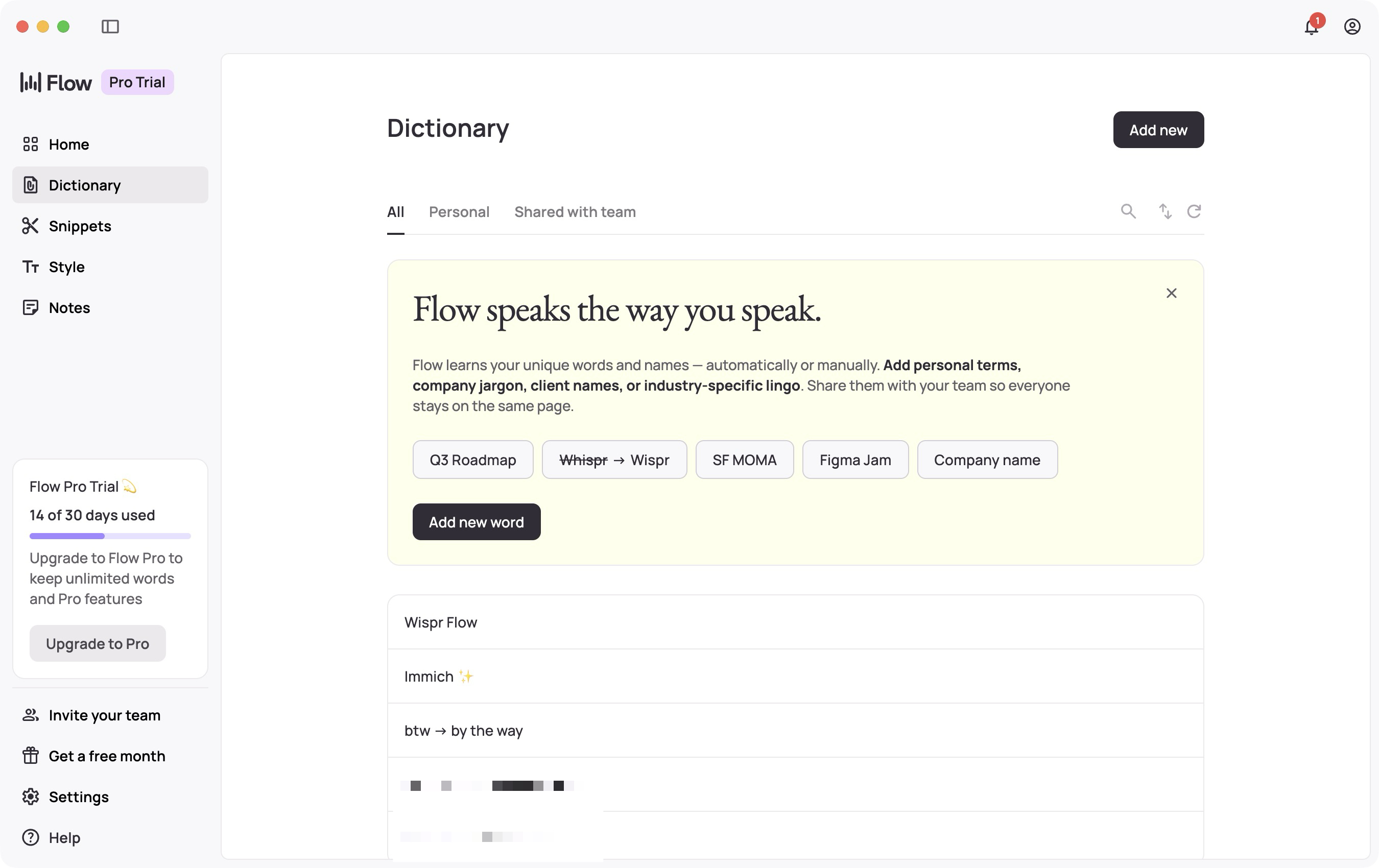 Wispr Flow Dictionary