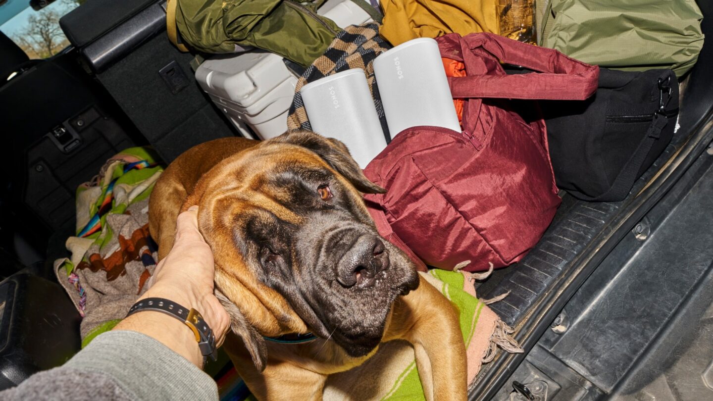 2 Sonos Play speakers packed to go