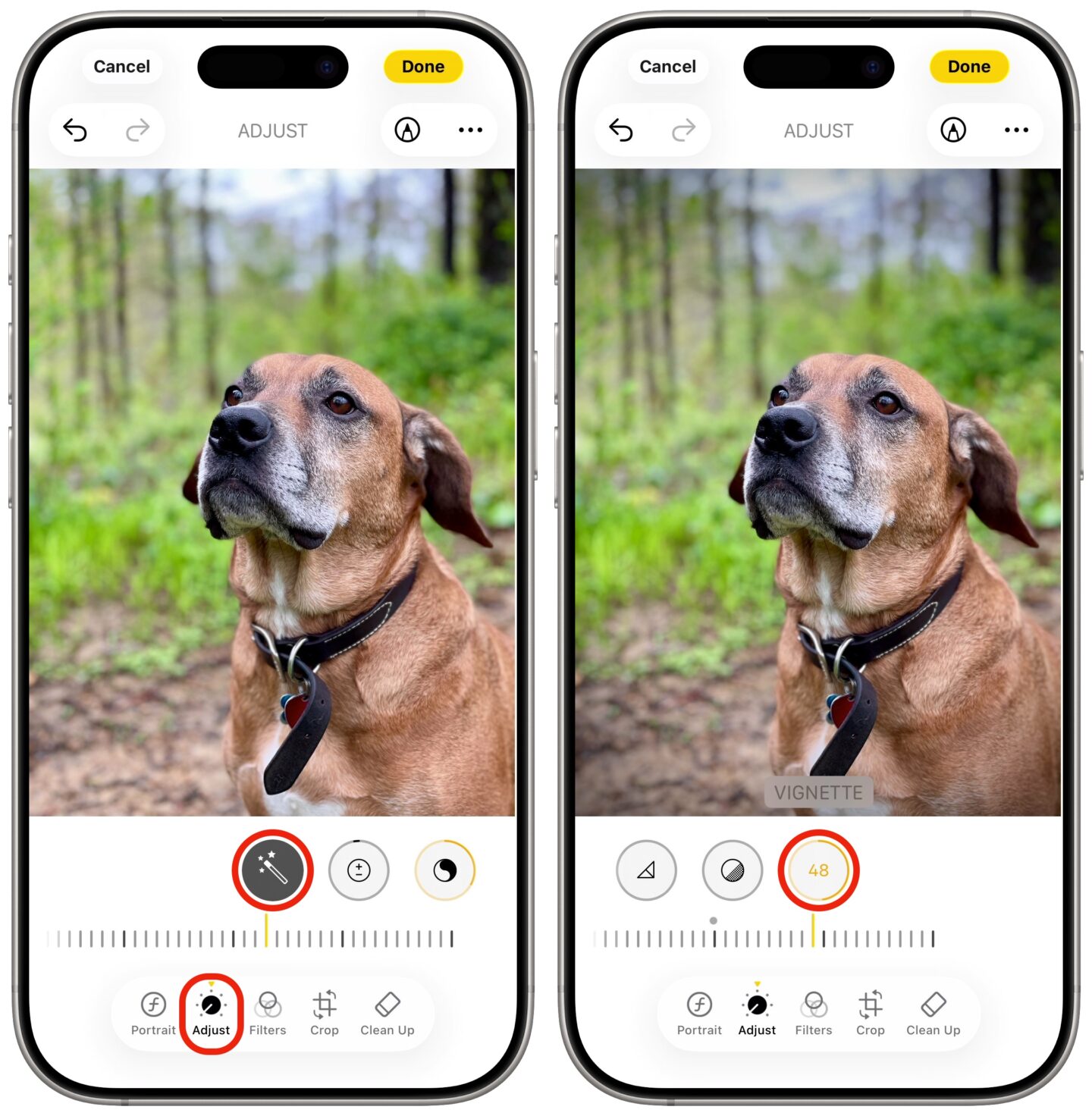 Auto enhancing a photo