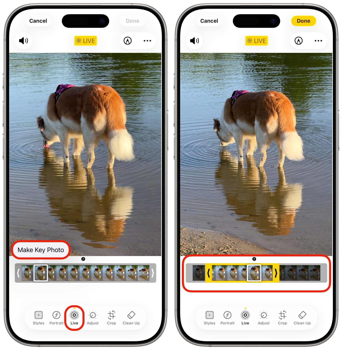 iPhone screenshots showing how to adjust settings on a Live Photo while editing a picture