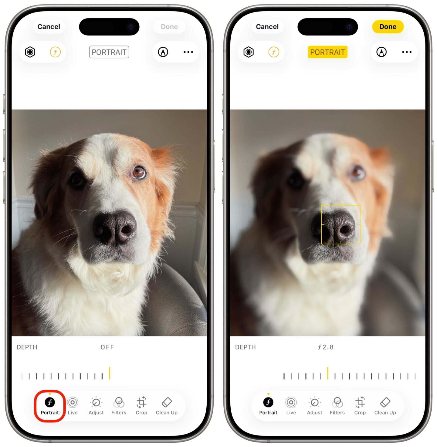 Editing the Portrait mode of a photo