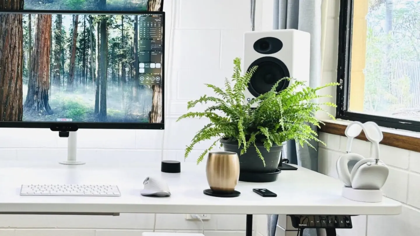 Top budget computer speakers - Audioengine A5+ speaker setup
