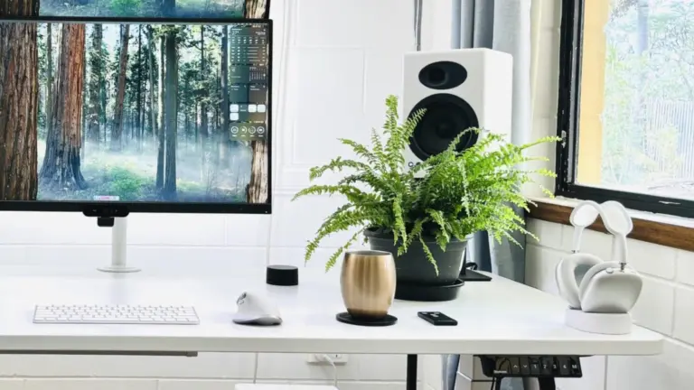 Top budget computer speakers - Audioengine A5+ speaker setup
