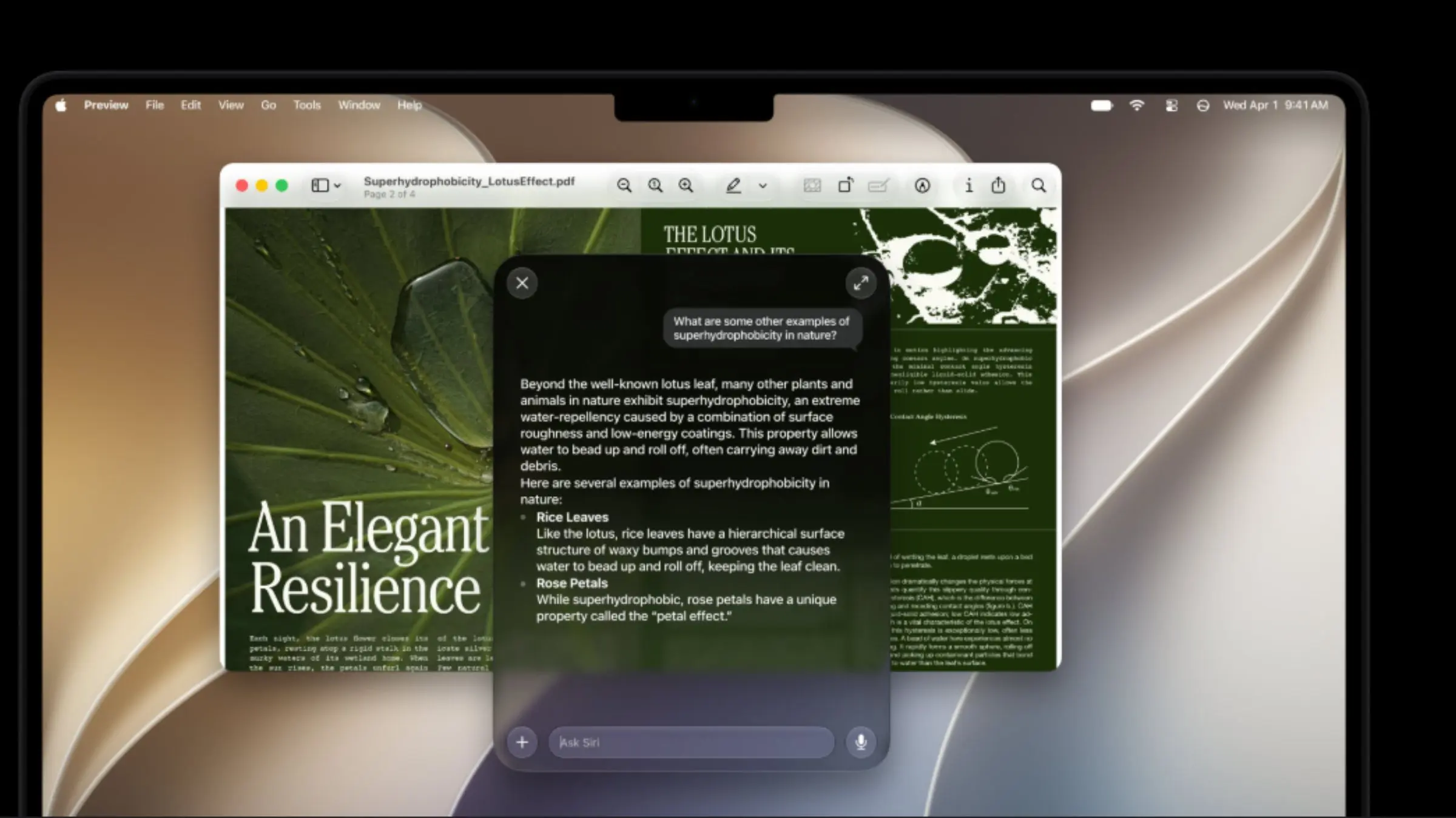 photo of macOS 27 Golden Gate is last update to support Intel apps image