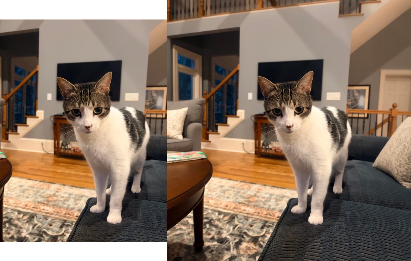 Extend tool in iOS 27 Photos app: It works Extend tool in iOS 27 Photos app: It works