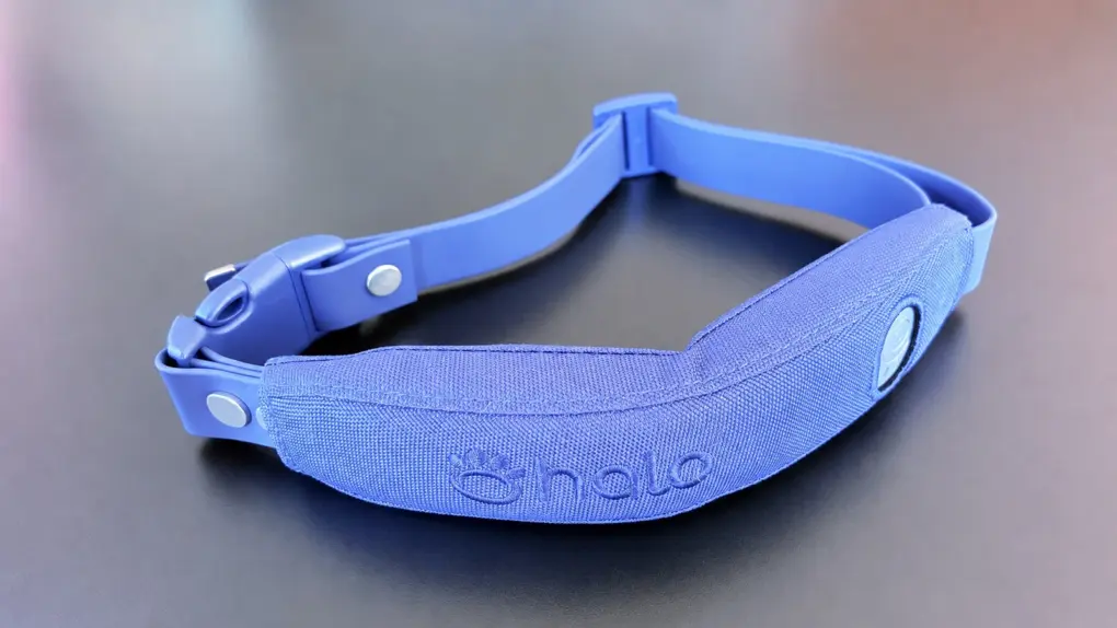 Best GPS dog collar gets better with Precision+ tracking Halo Collar 5 with Precision+ review