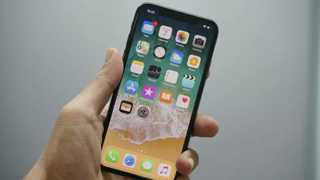 iPhone X in hand